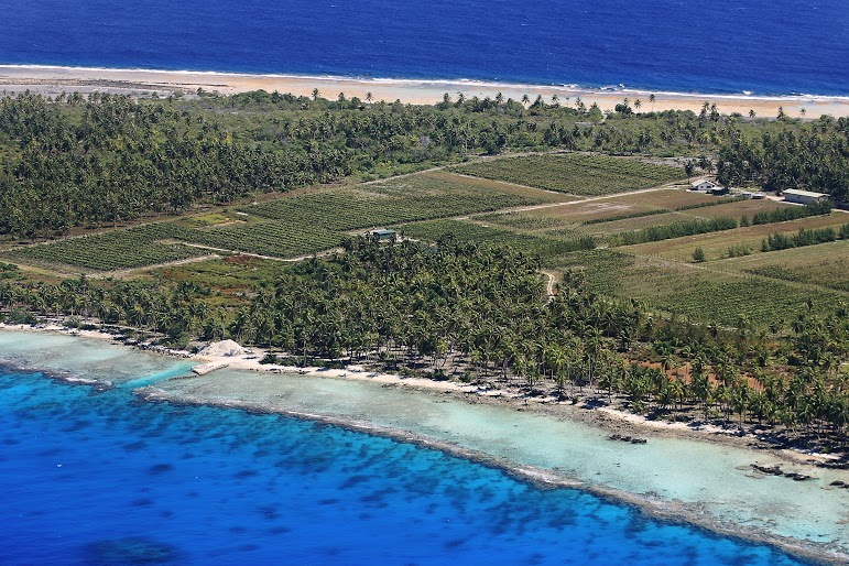 Rangiroa vignoble